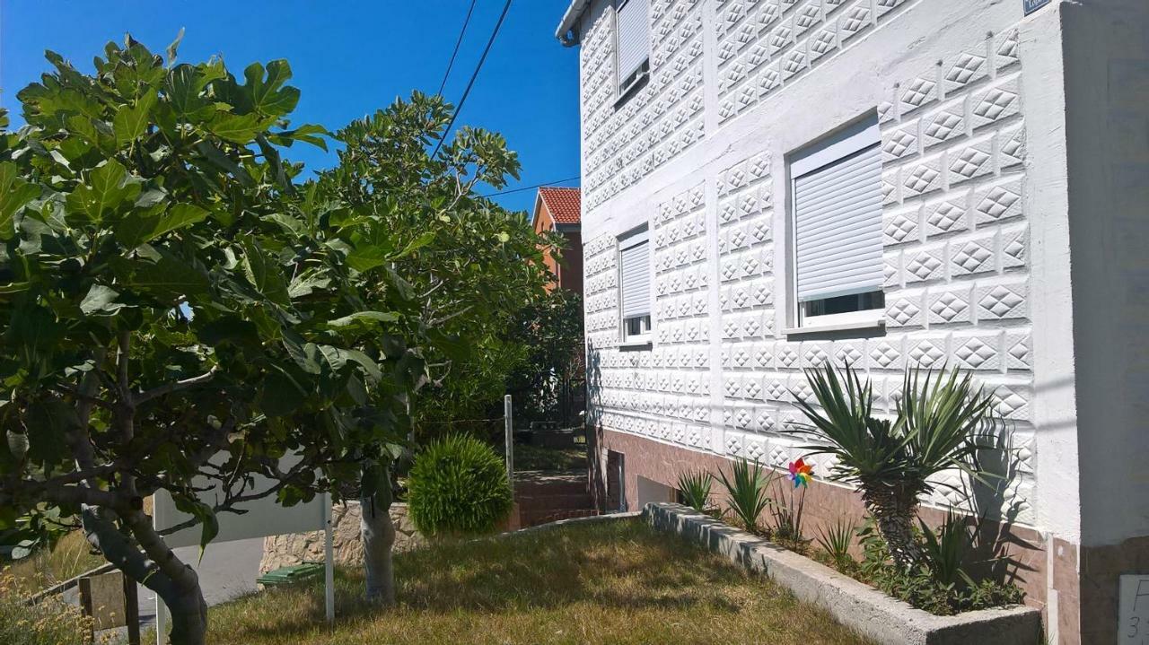 Apartament Pave & Ilija Jr *